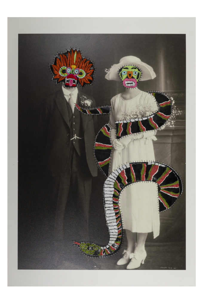 Hannalie Taute Family Pet 118.5 x 84 cm Photographic print on board thread and rubber 2021 - Family Pet - Hannalie Taute .M Contemporary