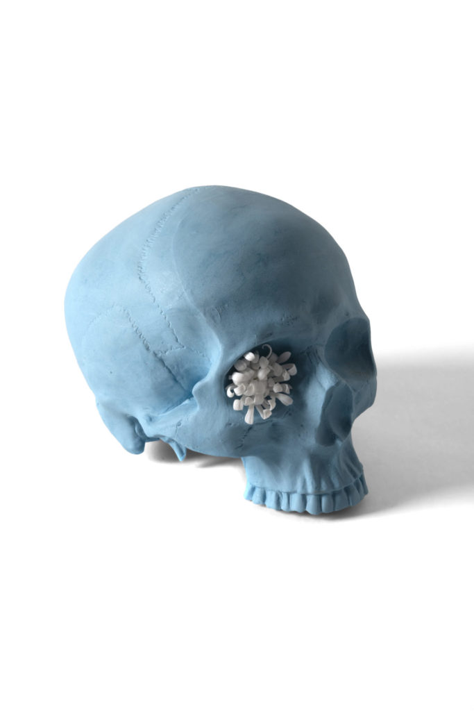 Jasperware Vanitas 3 - with Jin Jianhua 'Jasperware Skull 3' - Andrew Nicholls .M Contemporary
