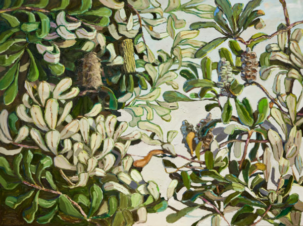 In the Banksia