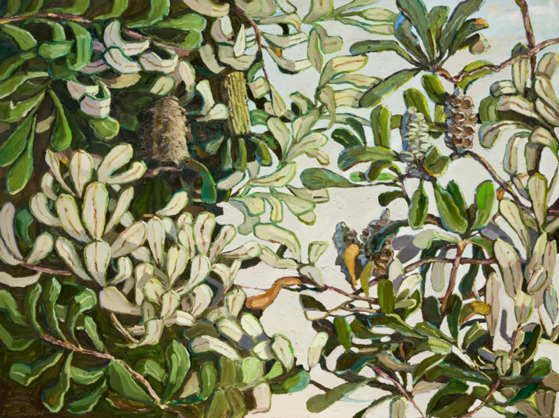 In the Banksia