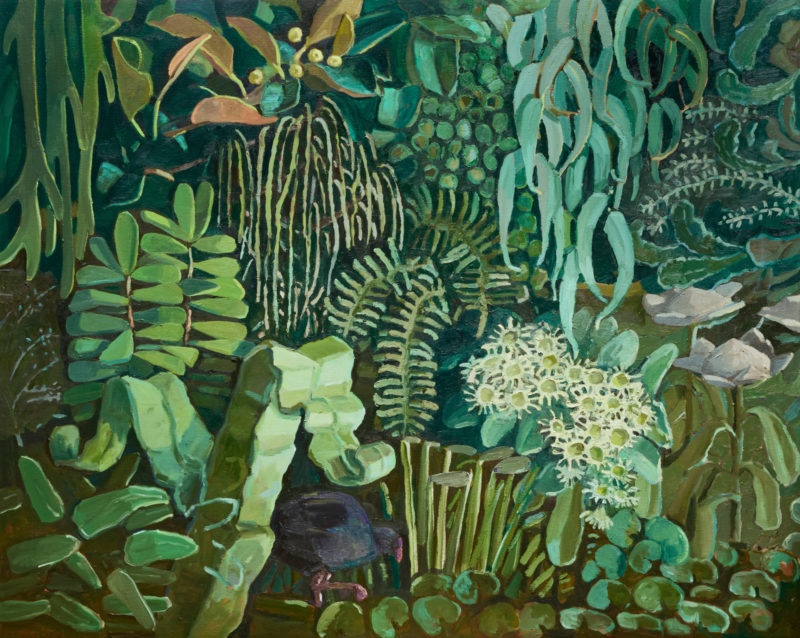 Jungle with Scrub Hen