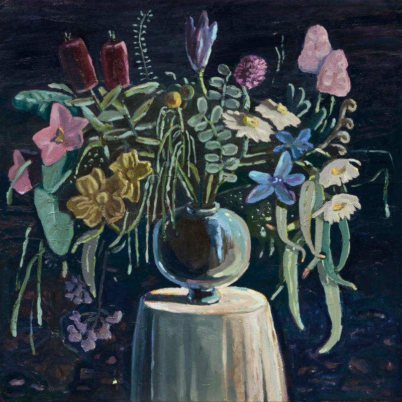 Arid Arrangement at Night