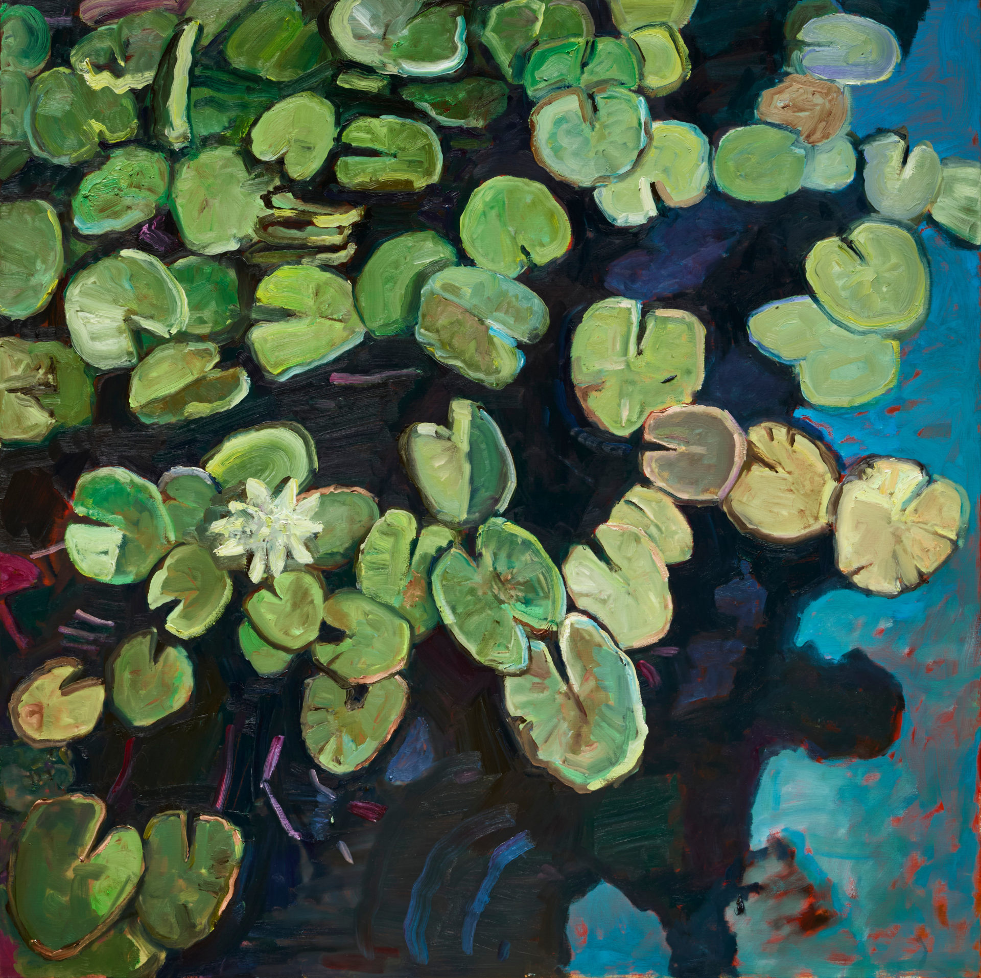 JANE GUTHLEBEN | ROOM FULL OF LEAVES