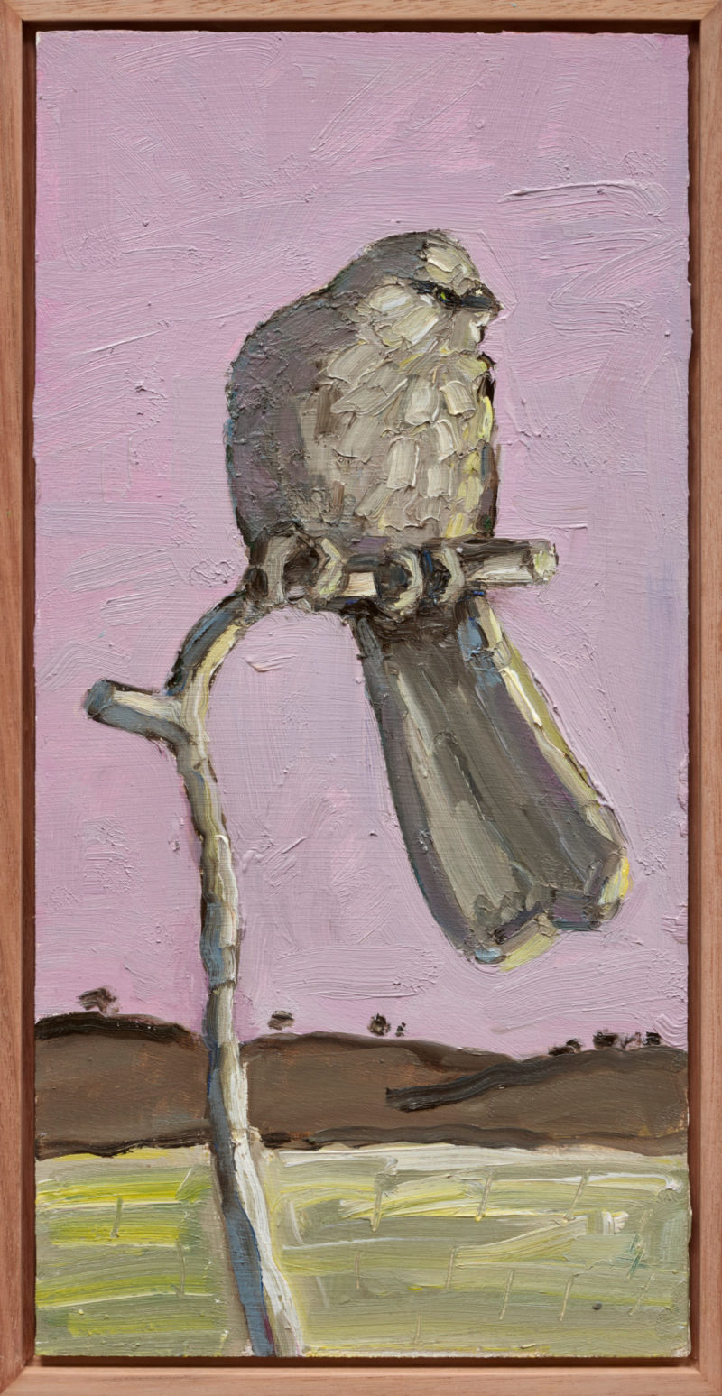 Apostle Bird
