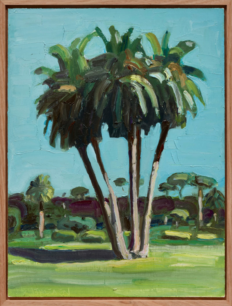 Five Palms