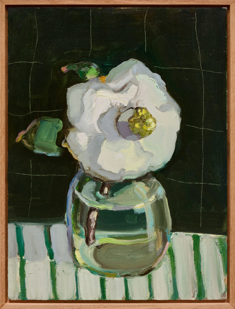 White Camelia on a Green Striped Cloth