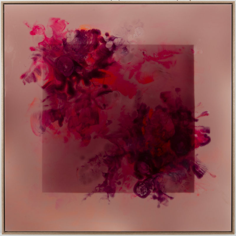 Big Dirty Velvet IV