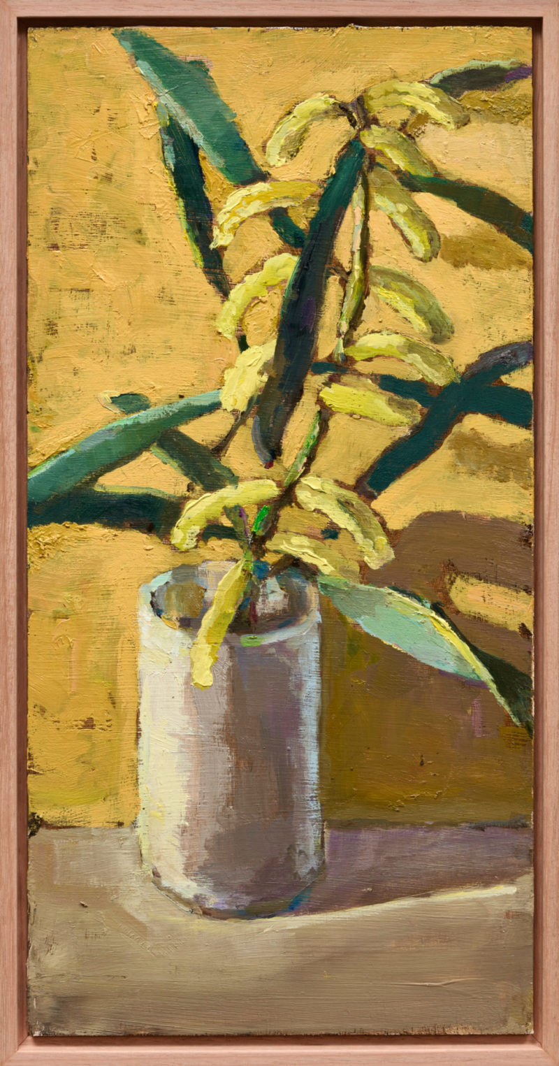 Wattle in White Base
