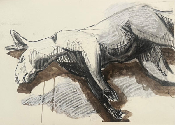 The Last Kangaroo