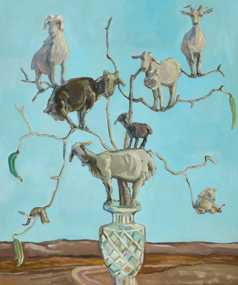 Semi-arid Bouquet, After the Goats