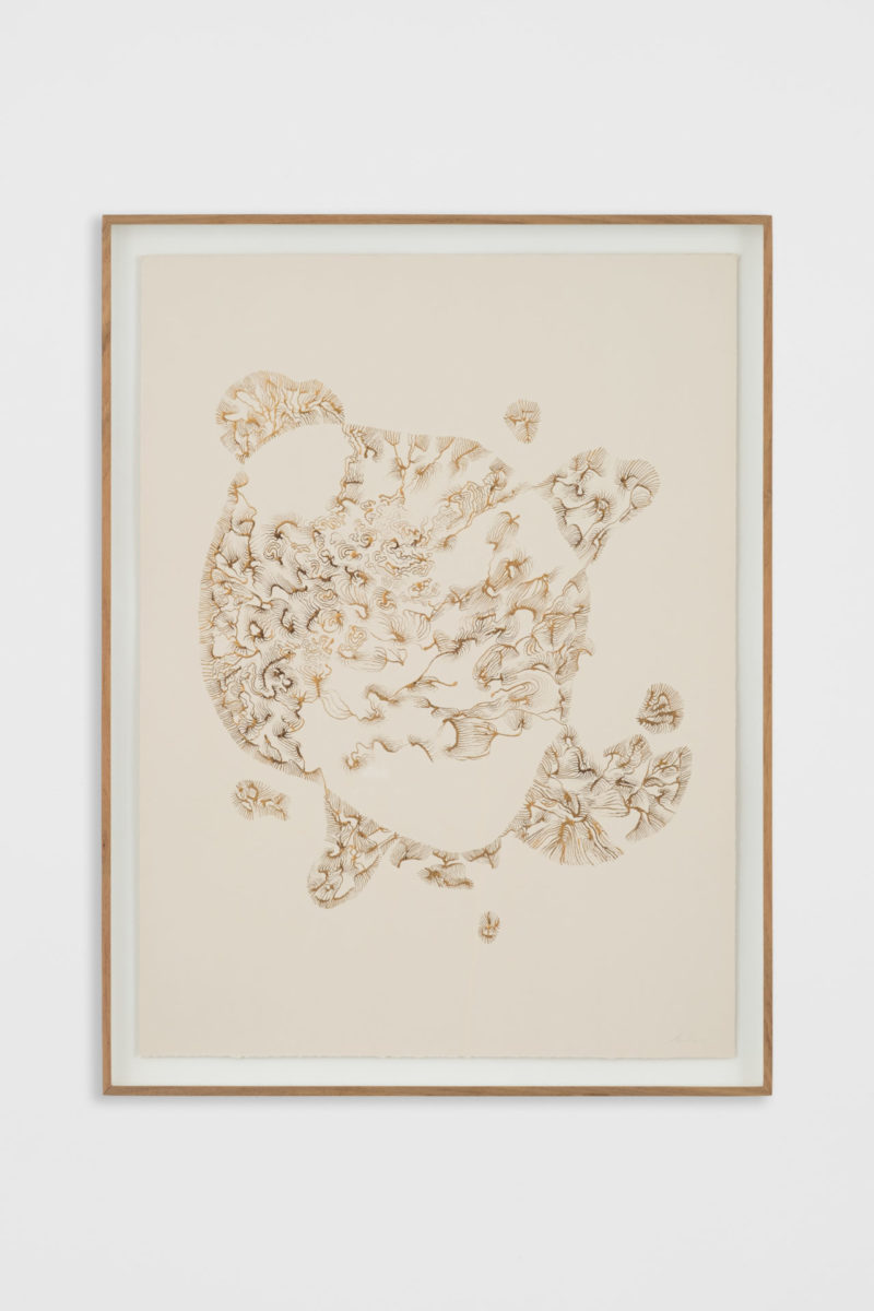 Reservoir, Rivers of Song IV