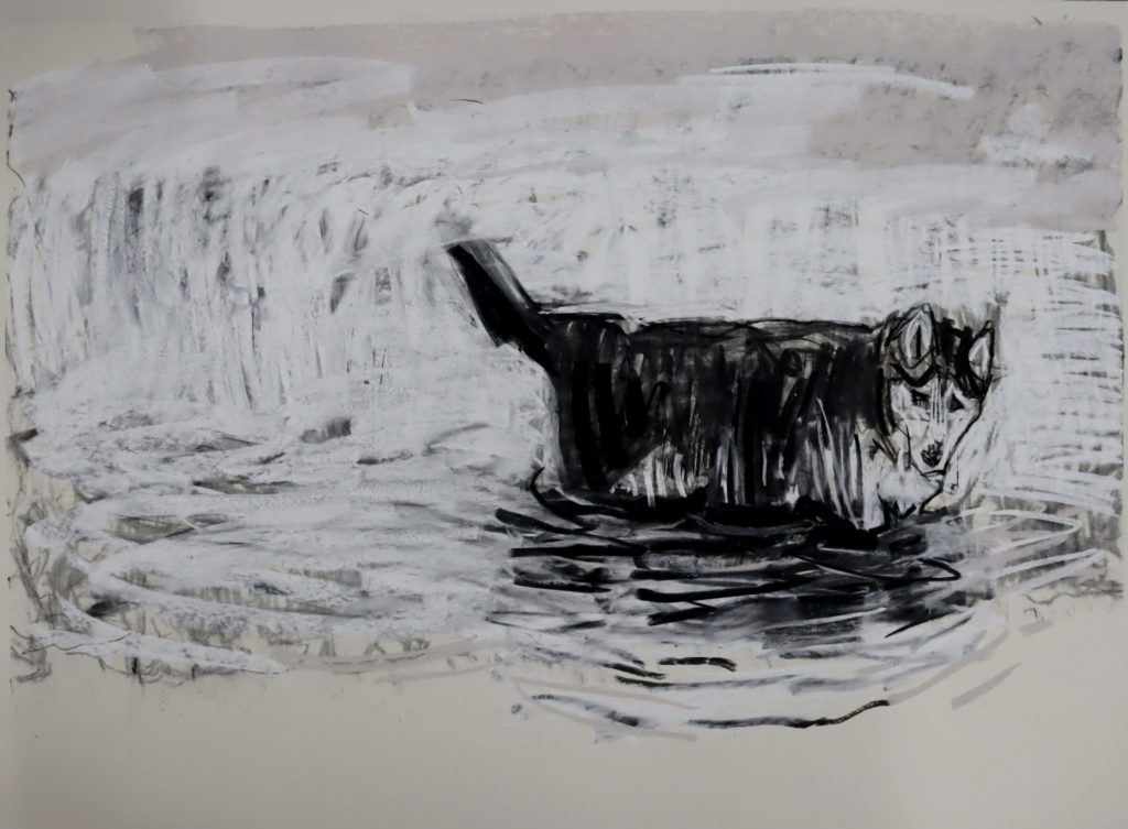 StarkyAtTheBeach - Starky at the Beach - Todd Fuller .M Contemporary