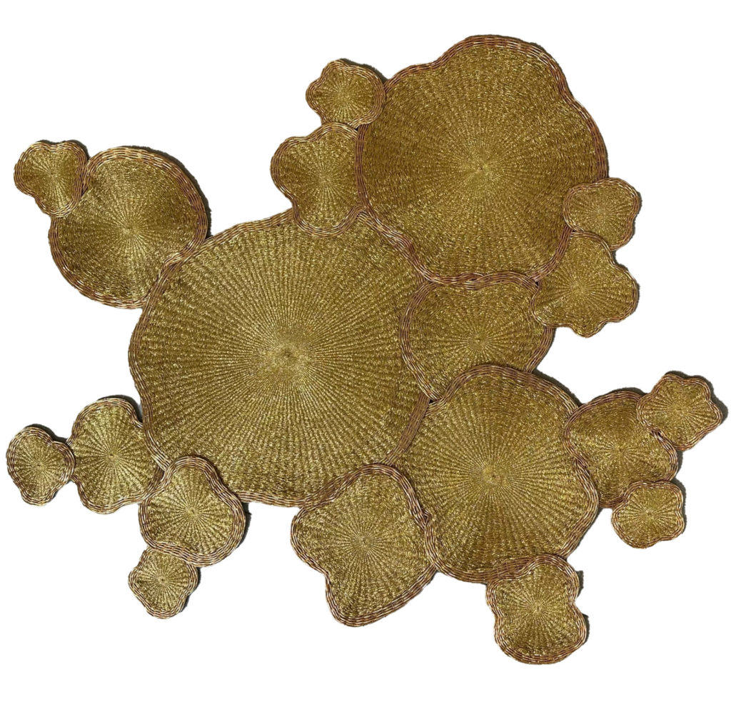IMG 2167 - Fruiting body - Lyndi Sales .M Contemporary