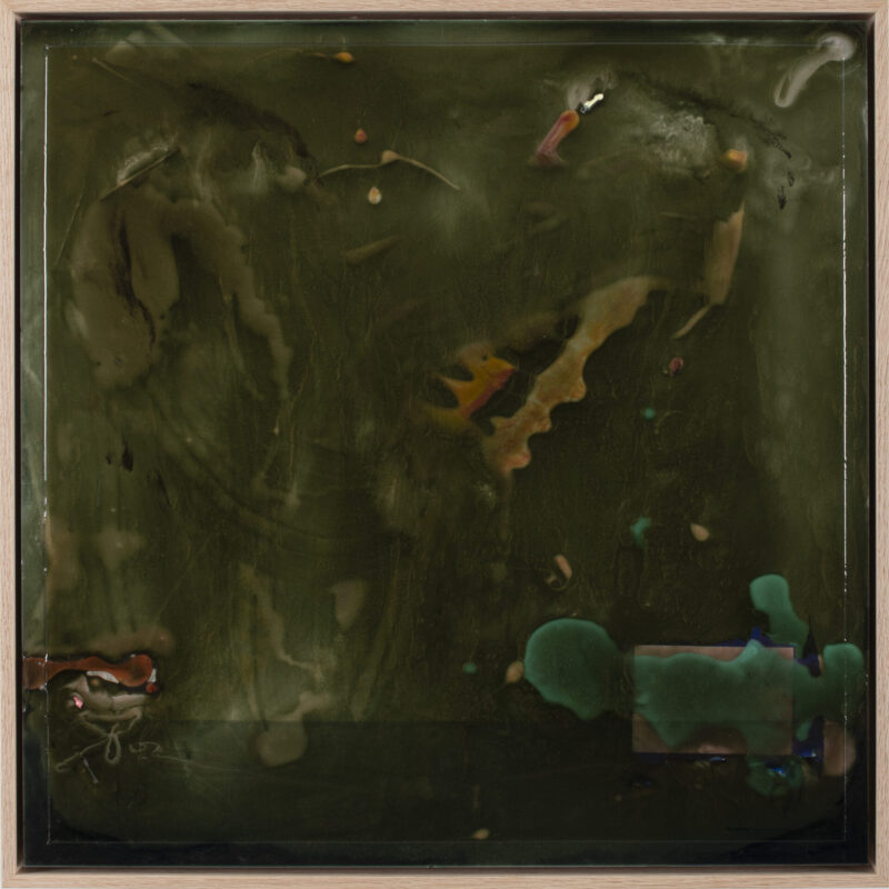 House of Continental VI