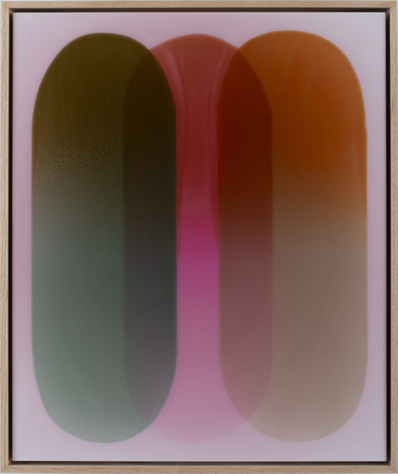 House of Continental XXXI