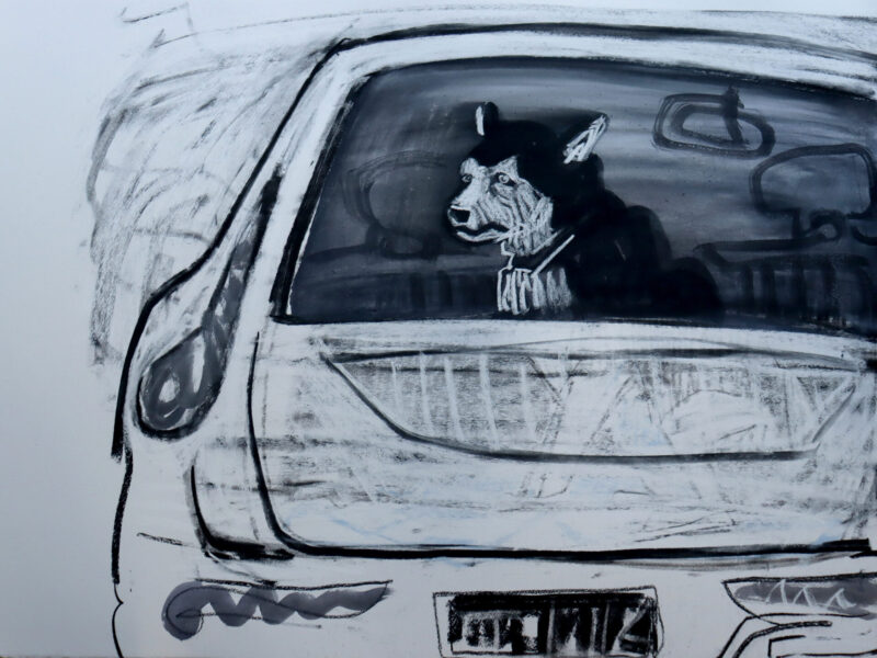 Dog in Boot