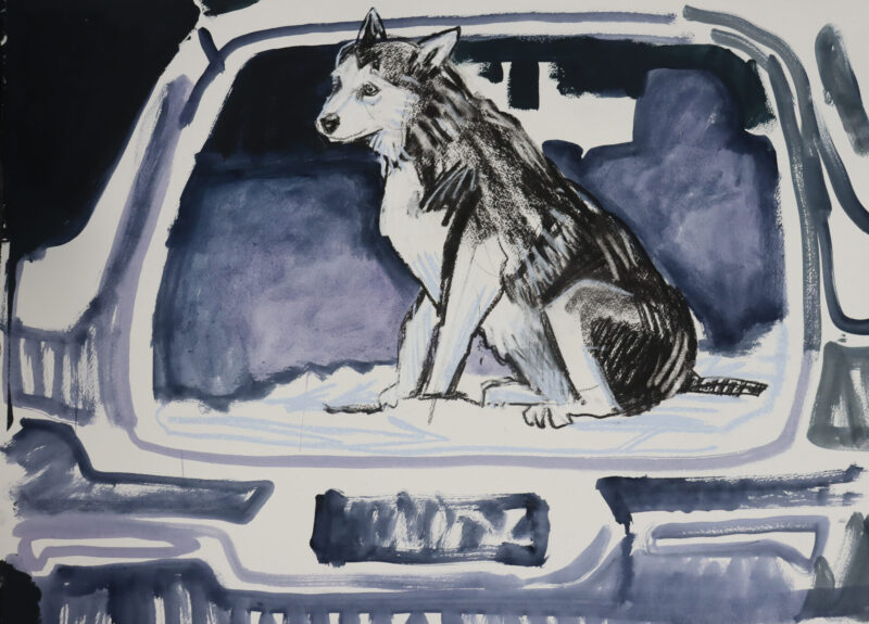 Car Study