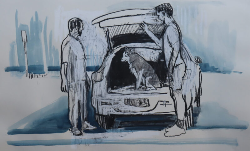 Dog in Boot II